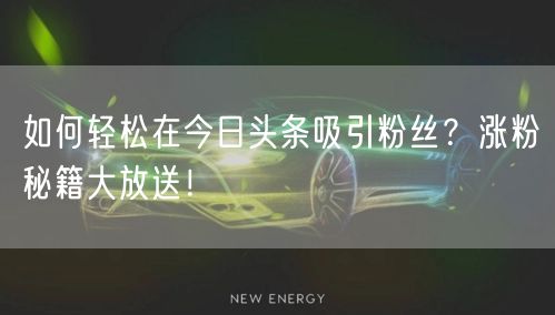 如何轻松在今日头条吸引粉丝？涨粉秘籍大放送！
