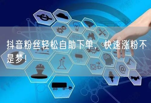 抖音粉丝轻松自助下单，快速涨粉不是梦！