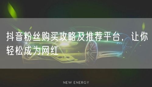 抖音粉丝购买攻略及推荐平台，让你轻松成为网红