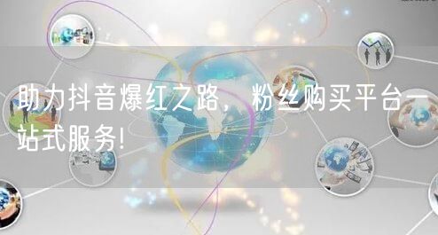 助力抖音爆红之路，粉丝购买平台一站式服务!
