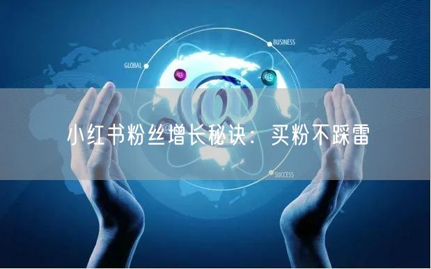 小红书粉丝增长秘诀：买粉不踩雷