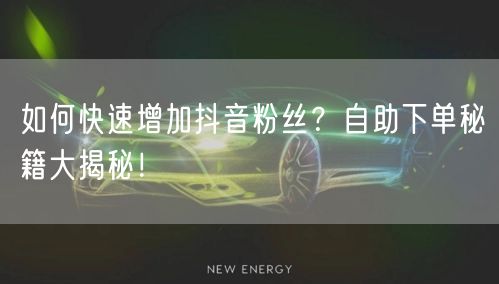 如何快速增加抖音粉丝？自助下单秘籍大揭秘！