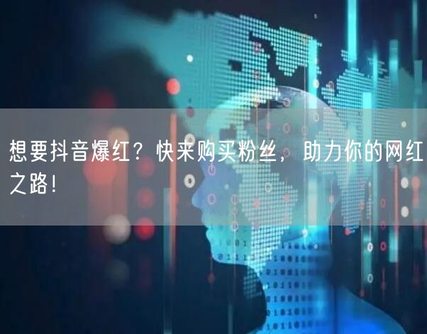 想要抖音爆红？快来购买粉丝，助力你的网红之路！