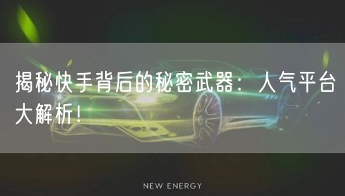 揭秘快手背后的秘密武器：人气平台大解析！