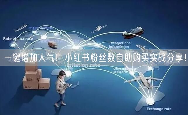 一键增加人气！小红书粉丝数自助购买实战分享！