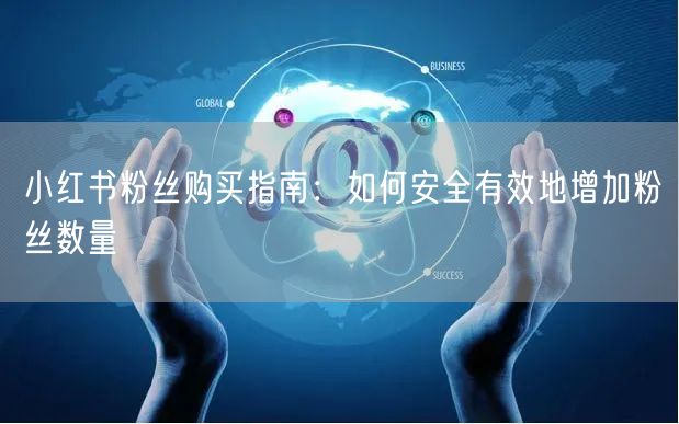 小红书粉丝购买指南：如何安全有效地增加粉丝数量