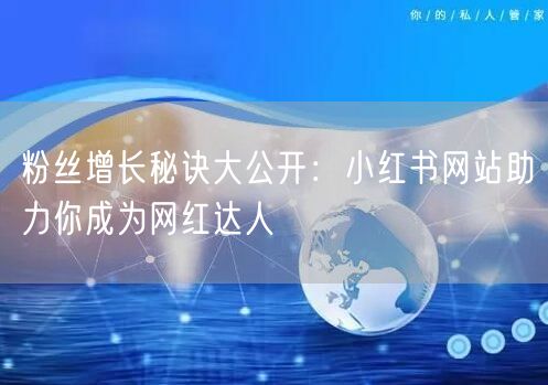 粉丝增长秘诀大公开：小红书网站助力你成为网红达人