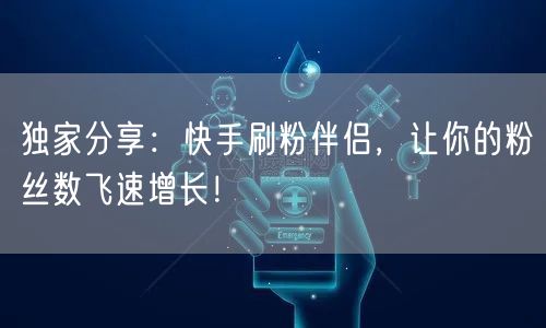 独家分享：快手刷粉伴侣，让你的粉丝数飞速增长！