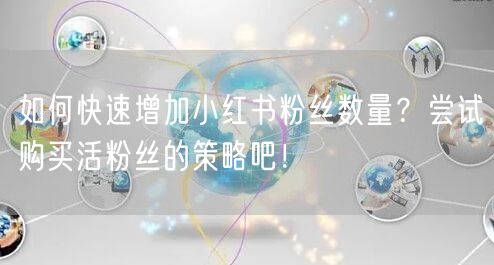 如何快速增加小红书粉丝数量？尝试购买活粉丝的策略吧！