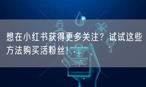 想在小红书获得更多关注？试试这些方法购买活粉丝！