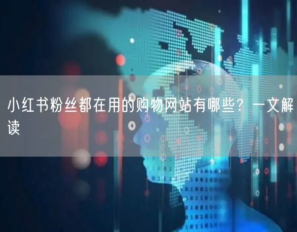 小红书粉丝都在用的购物网站有哪些？一文解读