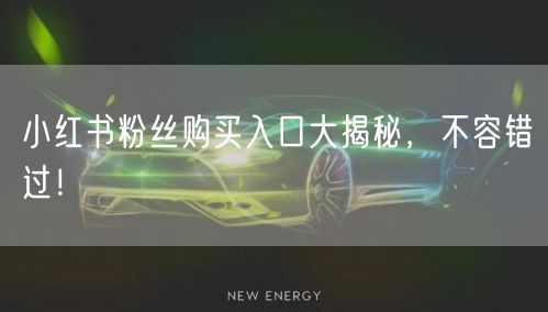 小红书粉丝购买入口大揭秘，不容错过！