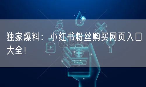 独家爆料：小红书粉丝购买网页入口大全！