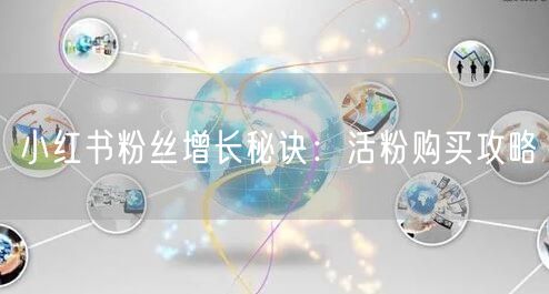小红书粉丝增长秘诀：活粉购买攻略