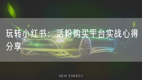 玩转小红书：活粉购买平台实战心得分享