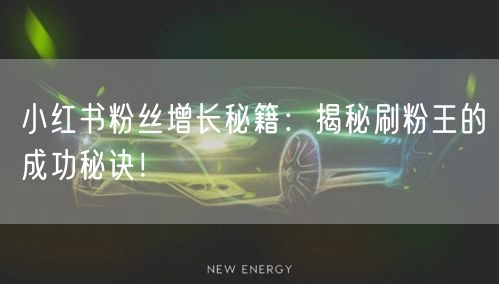 小红书粉丝增长秘籍：揭秘刷粉王的成功秘诀！
