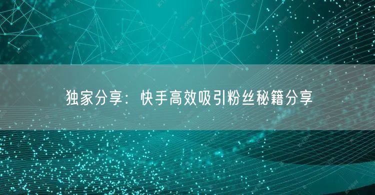 独家分享：快手高效吸引粉丝秘籍分享