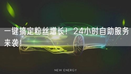 一键搞定粉丝增长！24小时自助服务来袭！