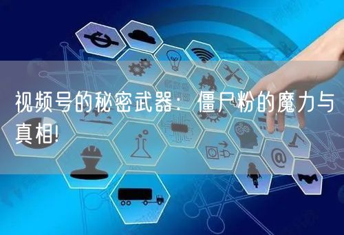 视频号的秘密武器：僵尸粉的魔力与真相!
