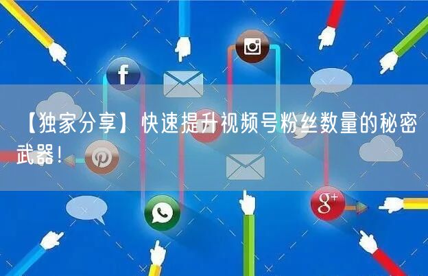 【独家分享】快速提升视频号粉丝数量的秘密武器！