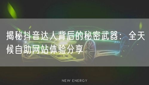 揭秘抖音达人背后的秘密武器：全天候自助网站体验分享