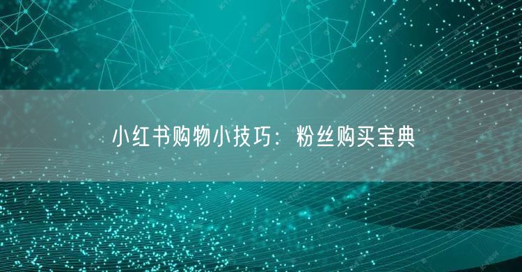小红书购物小技巧：粉丝购买宝典