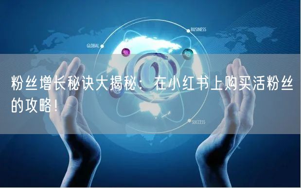 粉丝增长秘诀大揭秘：在小红书上购买活粉丝的攻略！