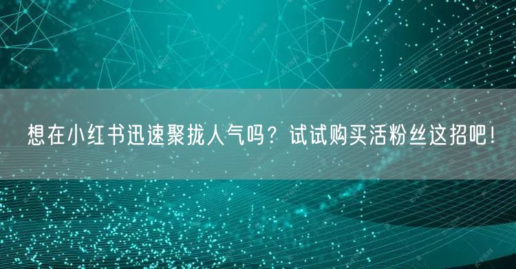 想在小红书迅速聚拢人气吗？试试购买活粉丝这招吧！