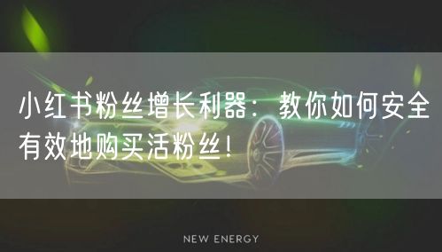 小红书粉丝增长利器：教你如何安全有效地购买活粉丝！