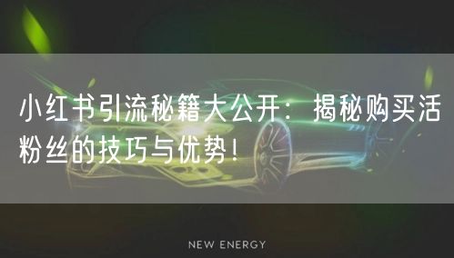 小红书引流秘籍大公开：揭秘购买活粉丝的技巧与优势！