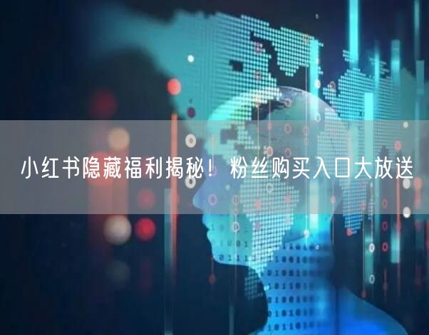 小红书隐藏福利揭秘！粉丝购买入口大放送