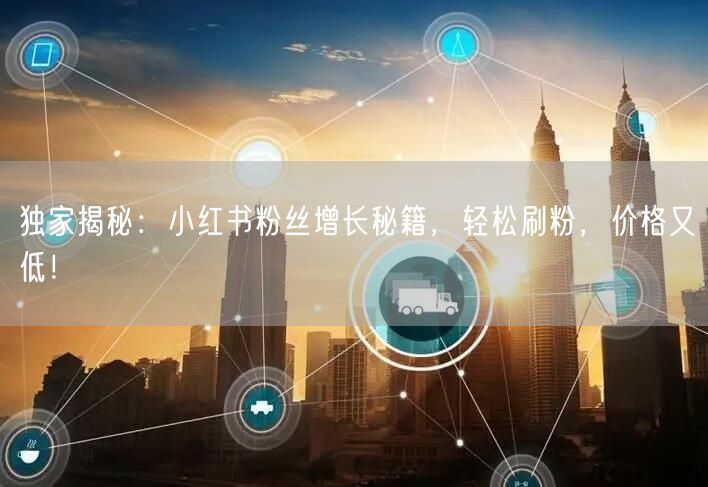 独家揭秘：小红书粉丝增长秘籍，轻松刷粉，价格又低！
