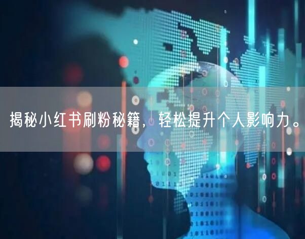 揭秘小红书刷粉秘籍，轻松提升个人影响力。