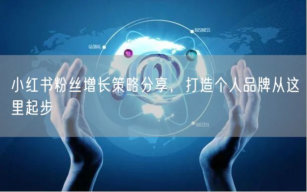 小红书粉丝增长策略分享，打造个人品牌从这里起步