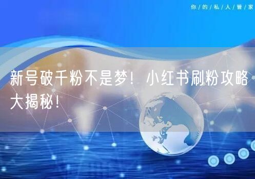 新号破千粉不是梦！小红书刷粉攻略大揭秘！