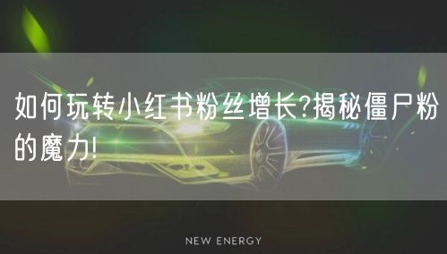 如何玩转小红书粉丝增长?揭秘僵尸粉的魔力!