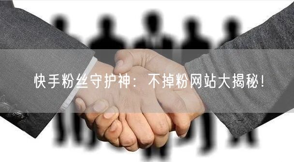 快手粉丝守护神：不掉粉网站大揭秘！