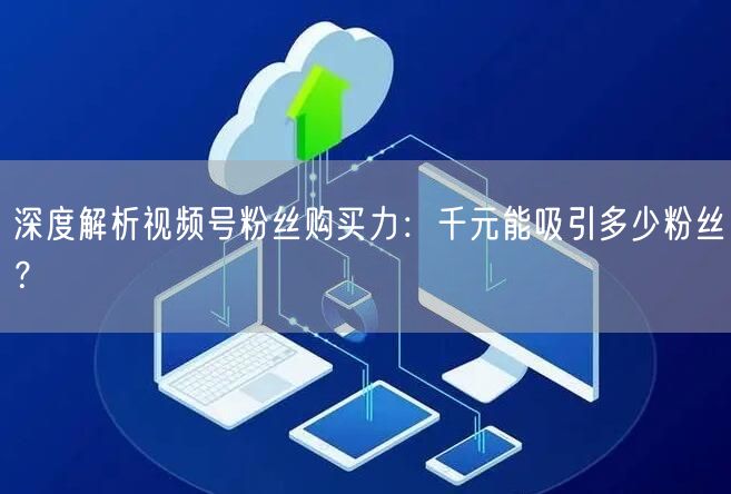深度解析视频号粉丝购买力：千元能吸引多少粉丝？