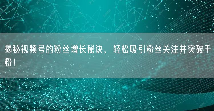 揭秘视频号的粉丝增长秘诀,轻松吸引粉丝关注并突破千粉!