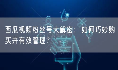 西瓜视频粉丝号大解密:如何巧妙购买并有效管理?